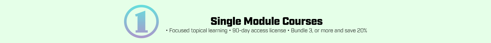 Online Single Module Courses