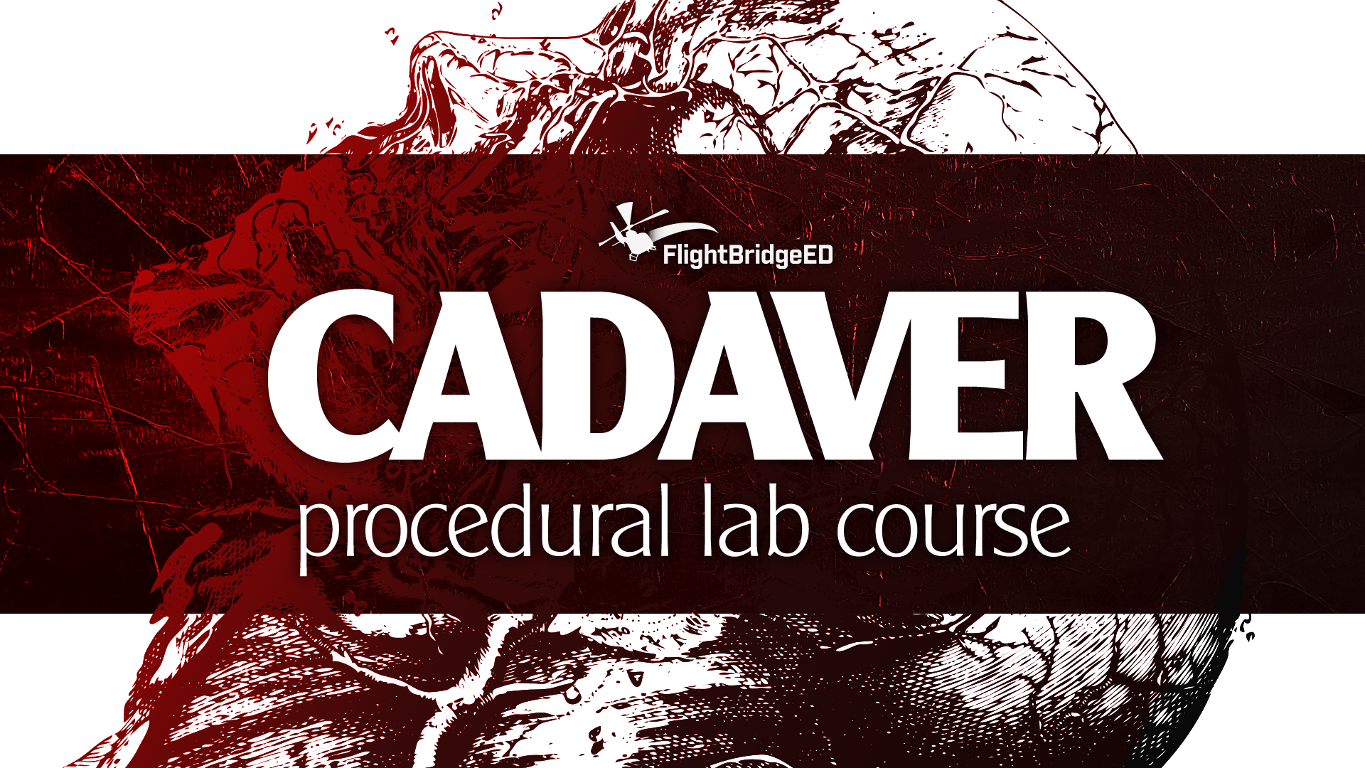 cadaver-procedurallabcourse1920x1080x300
