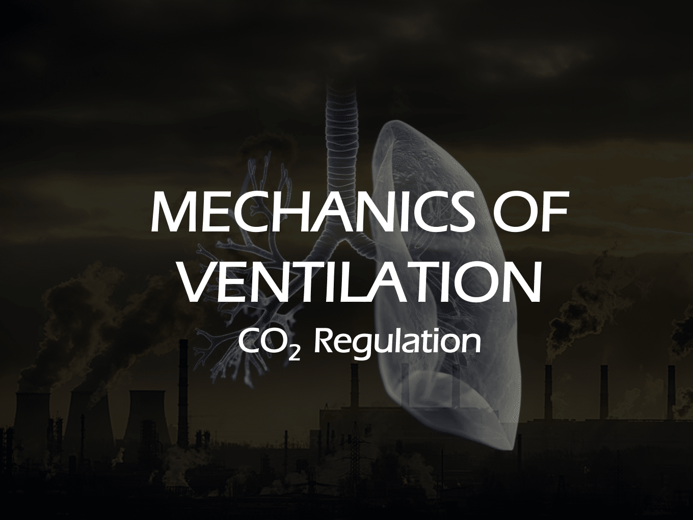 MECHANICS OF VENTILATION CO2 REGULATION FlightBridgeED
